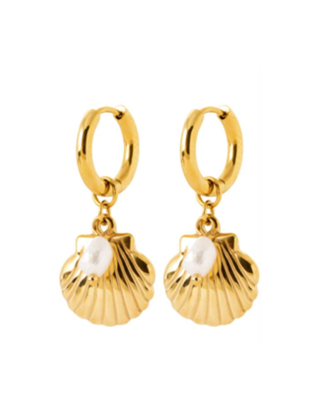 Boucles COQUILLAGE PERLE ACIER DORE